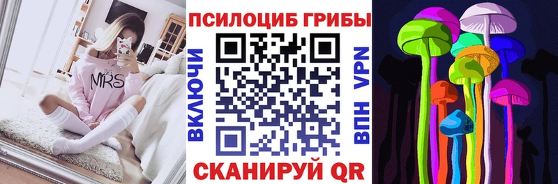 Галлюциногенные грибы Psilocybe  MEGA ТОР  Домодедово 